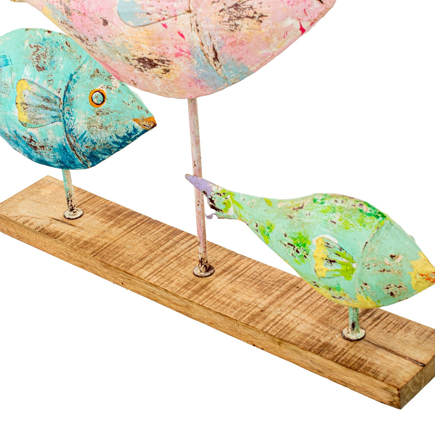 Figura 3 peces