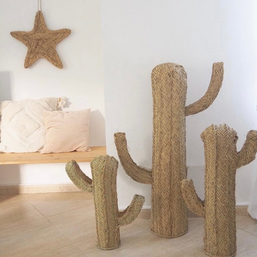 Cactus esparto