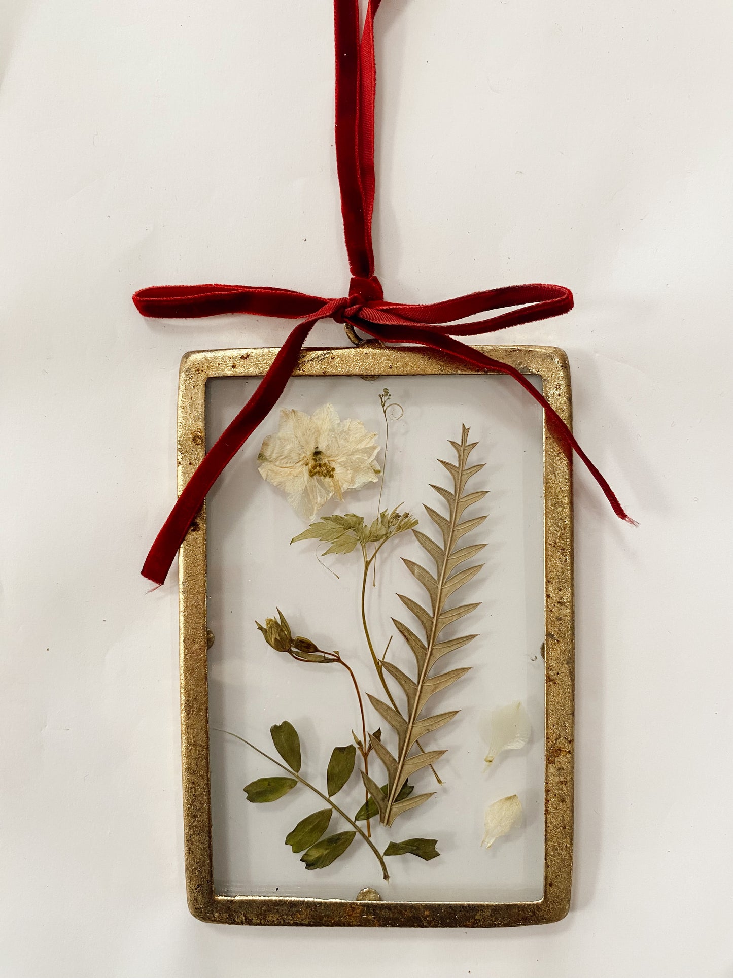 Marco botánico flores prensadas - pequeño
