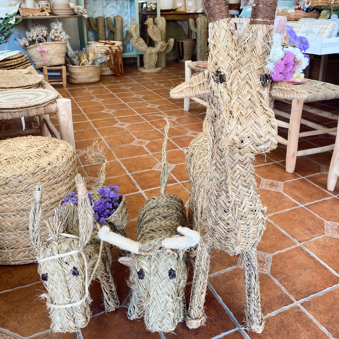 Burro de esparto artesanal