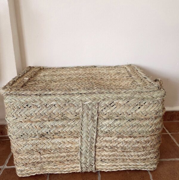 Baul de esparto