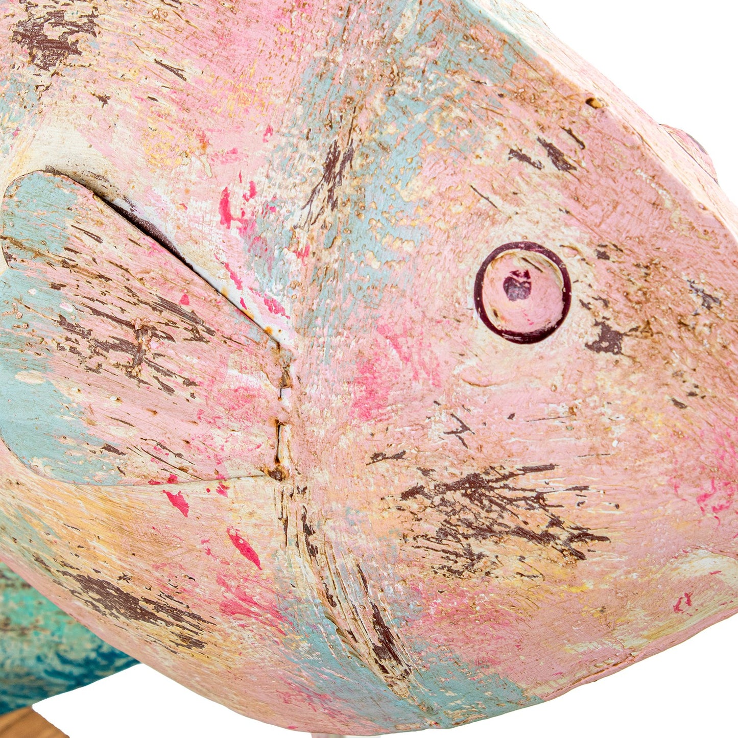 Figura 3 peces
