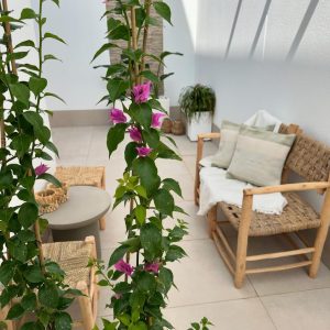 Banco con respaldo y apoyabrazos