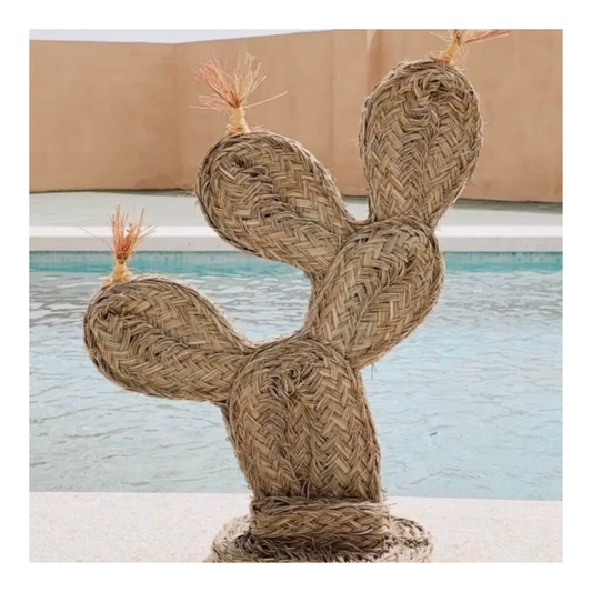 Cactus chumbera