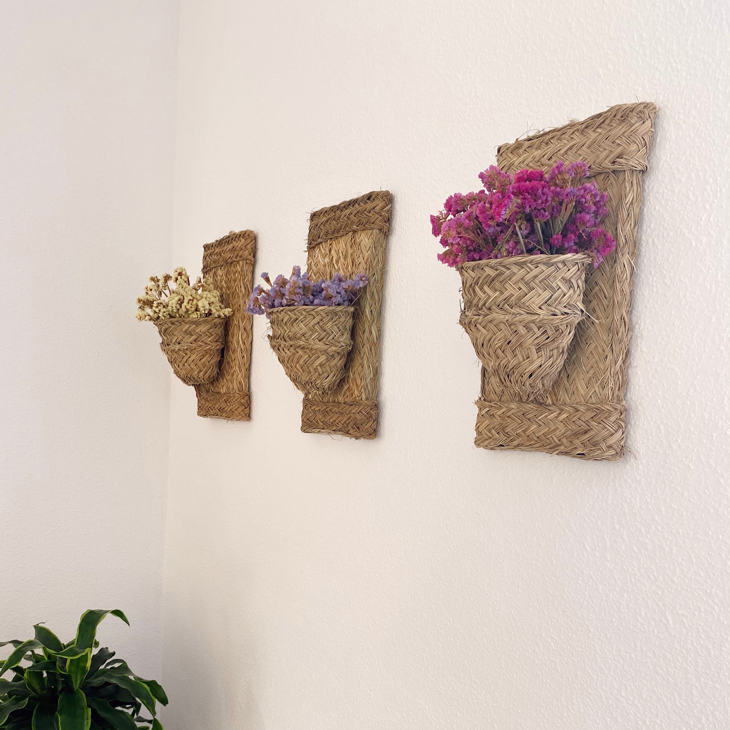 Macetero pared