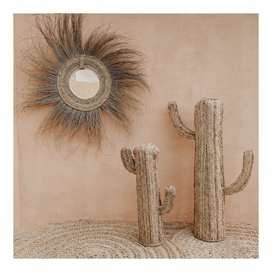 Cactus esparto