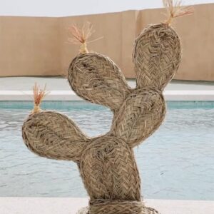 Cactus chumbera