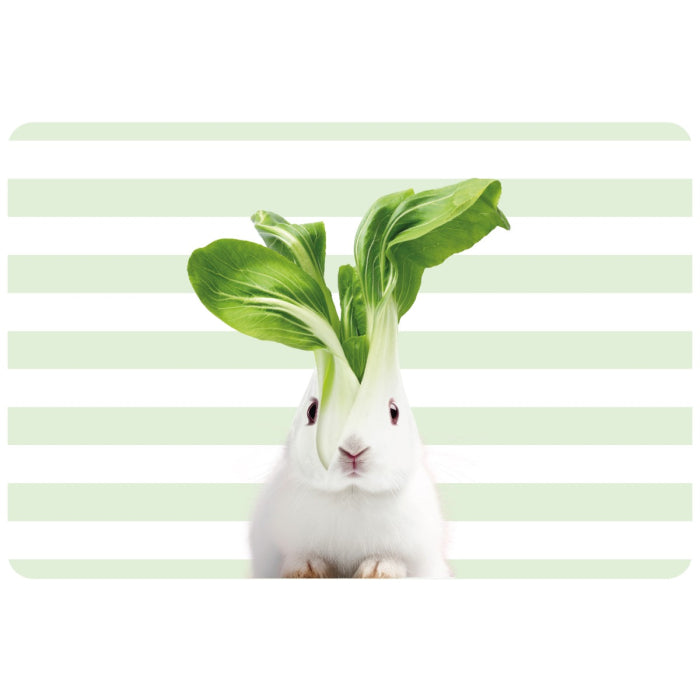Salvamantel animales PVC